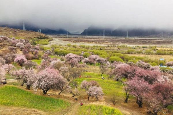 國內賞桃花最出名的地方 中國5大賞桃花勝地