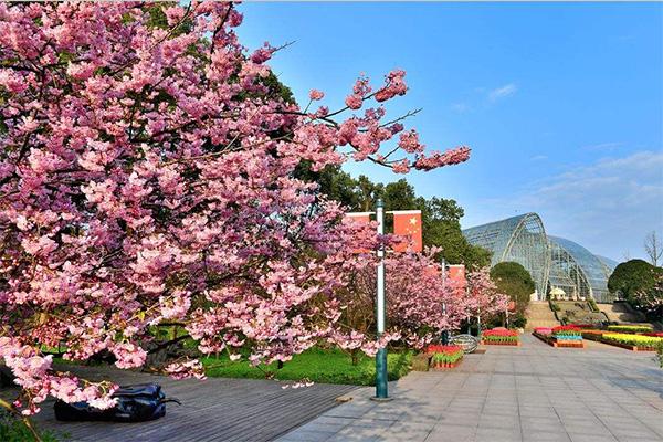 重庆北山植物园秋季花有哪些2022