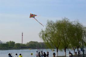 北京放风筝的好地方2022