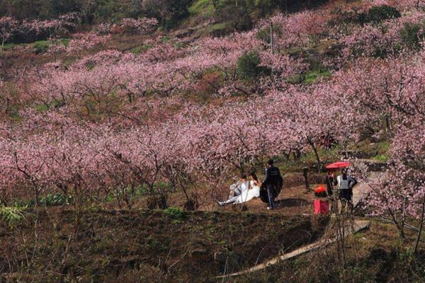 舟山桃花岛几月份去最好2022