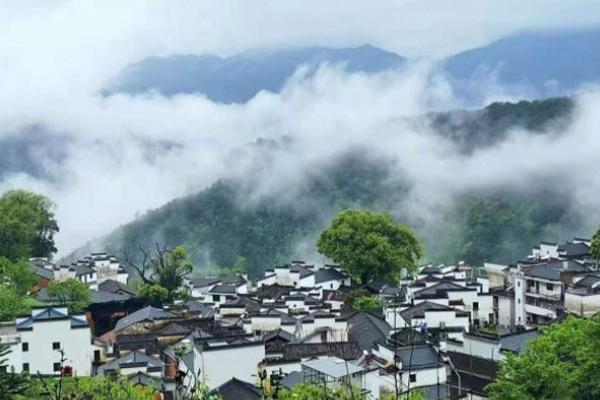 江西婺源油菜花哪里最好看 最佳赏花地点推荐