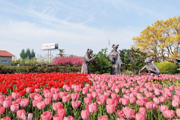 2022北京世界花卉大觀園春季賞花時間表