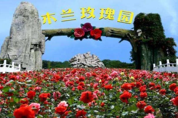 2022武汉现在哪里有花海春季