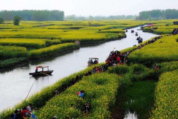 兴化油菜花最佳时间2022