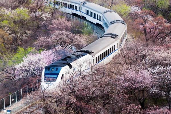 重庆渝北开往春天的列车打卡攻略