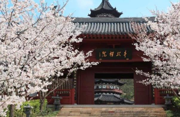 2022南京牛首山有什么花及最佳赏花时间