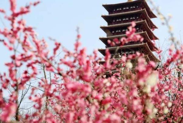 2022南京牛首山有什么花及最佳赏花时间