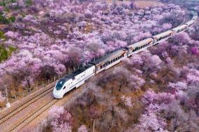 北京开往春天的列车在哪儿及最佳拍摄地点