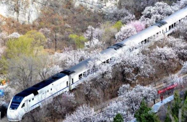 北京開往春天的列車在哪兒及最佳拍攝地點