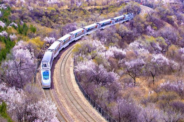 北京开往春天的列车在哪儿上车 最佳拍摄地点推荐