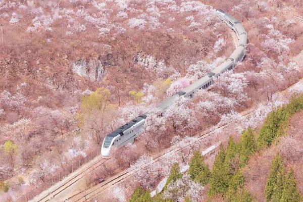 北京开往春天的列车在哪儿上车 最佳拍摄地点推荐
