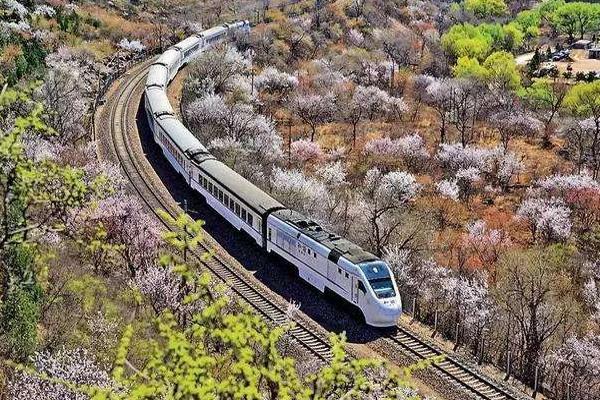 2024北京开往春天的列车最佳拍摄地点及观赏期