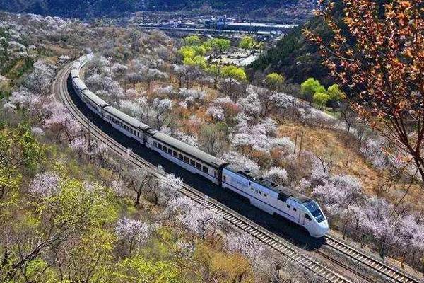 2024北京开往春天的列车最佳拍摄地点及观赏期