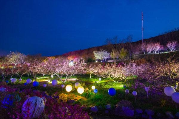 大连春季踏青好去处 赏花最佳景点推荐