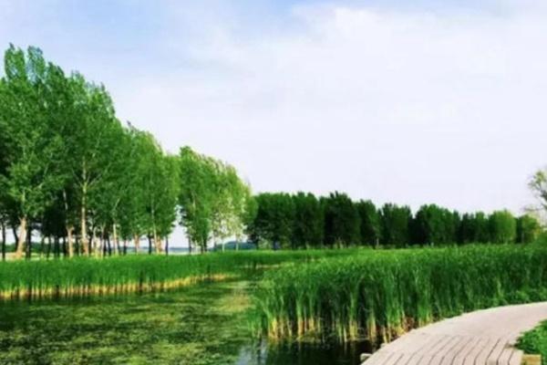 北京值得去的郊野公园有哪些
