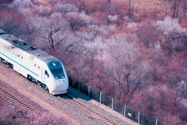 2022北京市郊铁路s2线发车时间表