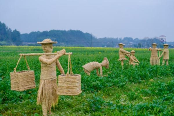 长沙江背镇油菜花开了吗2022