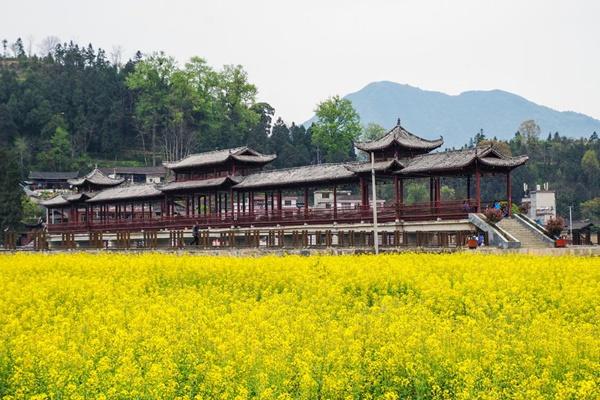 碧江區瓦屋鄉油菜花在哪里?什么時候開?