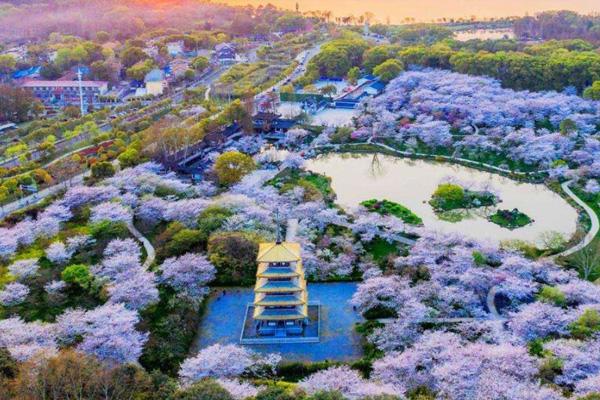 2022東湖櫻花園門票優惠政策