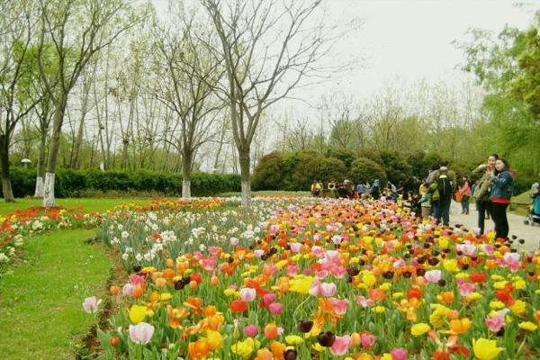 2023南京绿博园的风景和介绍 - 门票价格 - 开放时间