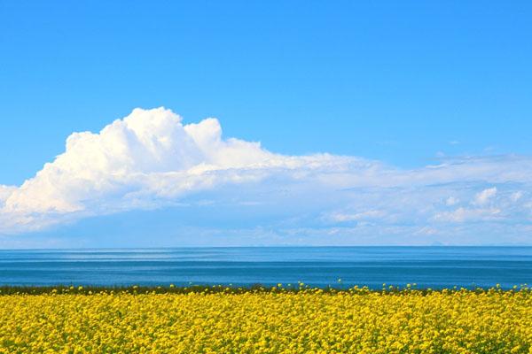 2022青海湖景区门票价格及优惠政策
