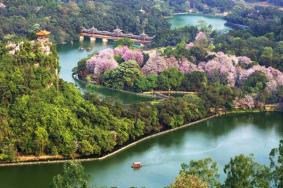 柳州春游好去处 十大春季旅游景点推荐