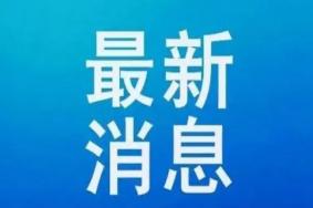 上海2+12隔离政策什么意思 上海2+12健康管理可以上班吗