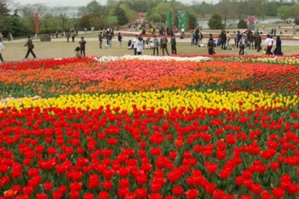 合肥植物園門票多少錢及游玩攻略