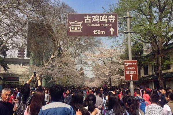 受疫情影响南京鸡鸣寺路3月14日起暂停对游客开放