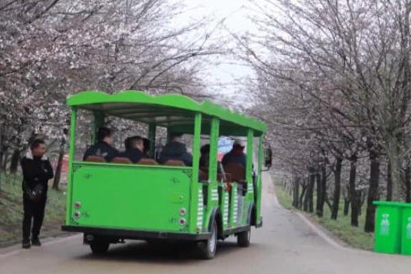 貴安櫻花園預約指南