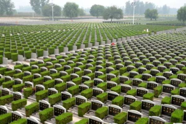 2022受疫情影响天津多家公墓暂停现场祭扫
