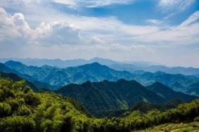 2022杭州超山风景