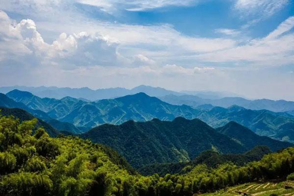 2022杭州超山风景区门票多少钱