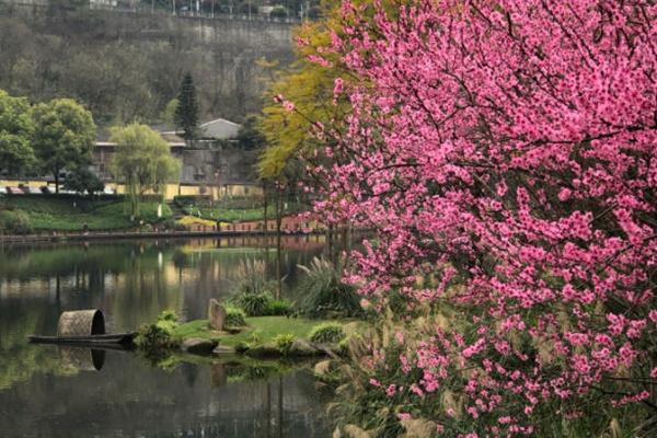 彩云湖湿地公园桃花开了吗