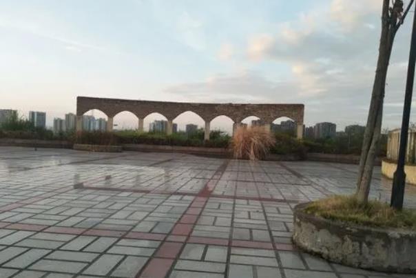 2022重庆渝中区红岩村牡丹在哪里及游玩攻略路线推荐