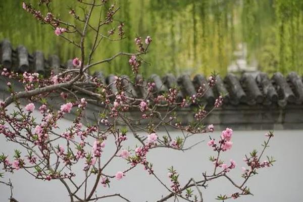 2022北京陶然亭公园赏花时间