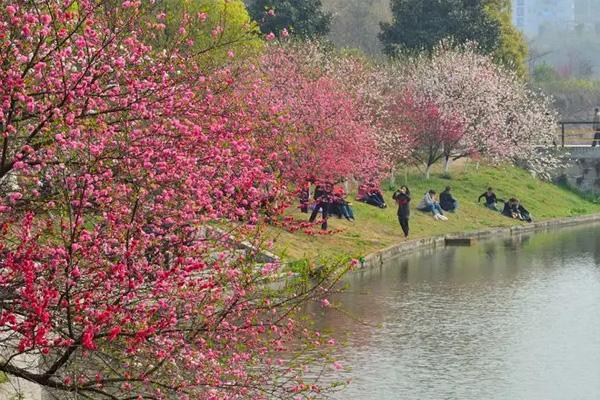 2022郑州动物园桃花文化节举办时间及活动攻略