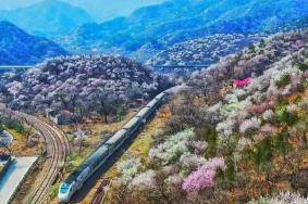2024北京开往春天的列车时刻表及票价