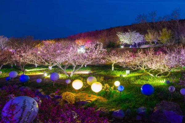 2022武漢櫻花主題燈光秀最佳觀賞地點