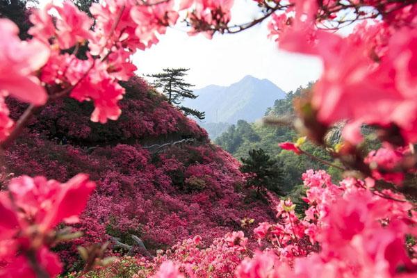 2022清明节武汉周边一日游攻略