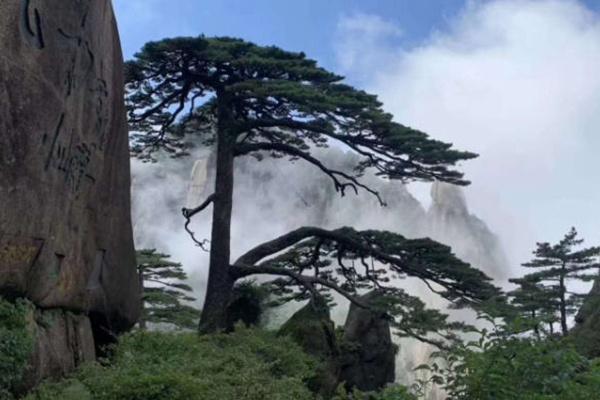 黃山風景區一日游最佳路線