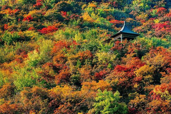 北京最美的登山步道有哪些