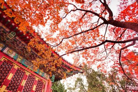 北京香山公园开放时间2023