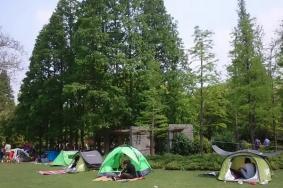 武汉可以搭帐篷的公园2022