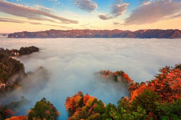 光雾山哪个景区最好