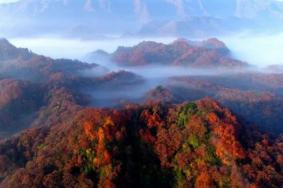 光雾山风景区门票价格多少钱 附优惠政策