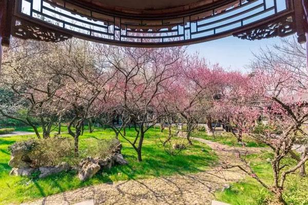 南京古林公園有什么好玩的 景點介紹一覽