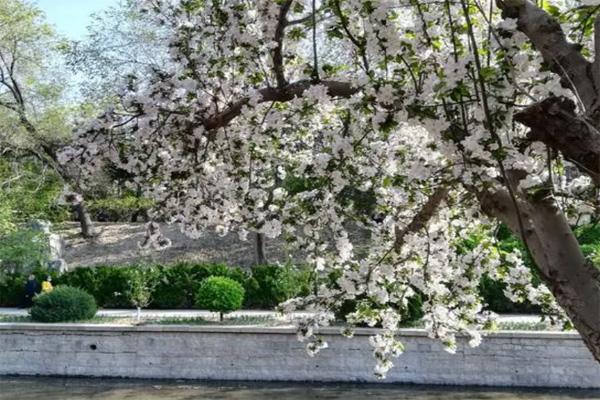 北京海棠花溪每年幾月去最好 怎么去