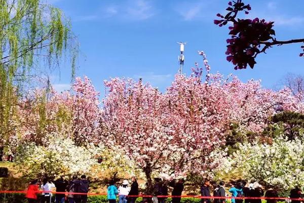 北京海棠花溪每年几月去最好 怎么去