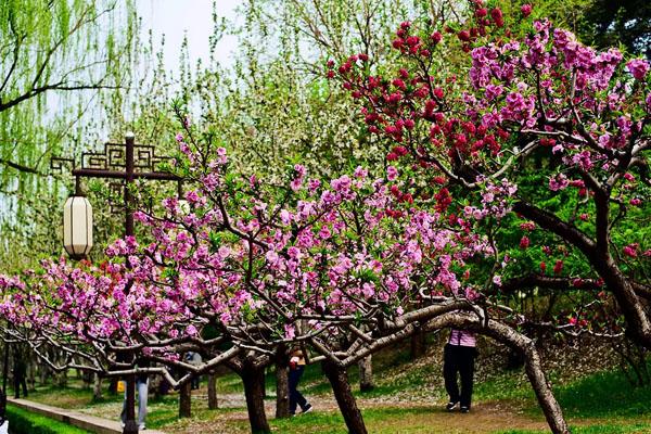 北京海棠花溪在哪里 地鐵怎么走